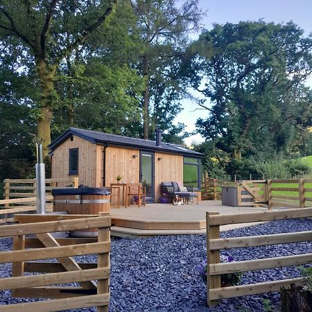 Ty Nant Gwenyn Villa Llanymawddwy Ngoại thất bức ảnh